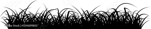 Une silhouette d'une bordure d'herbes sur un fond transparent