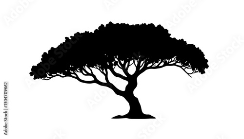Silhouette of tree with broad canopy