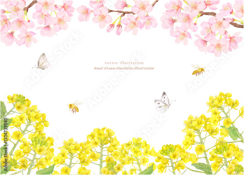 水彩で描いた桜と菜の花のフレーム背景素材