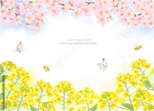 水彩で描いた桜と菜の花のフレーム背景素材