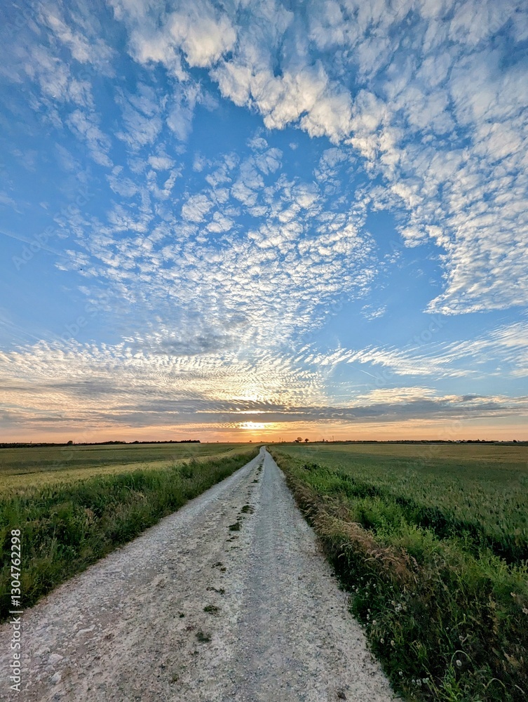 Fototapeta premium Chemin couché de soleil 1
