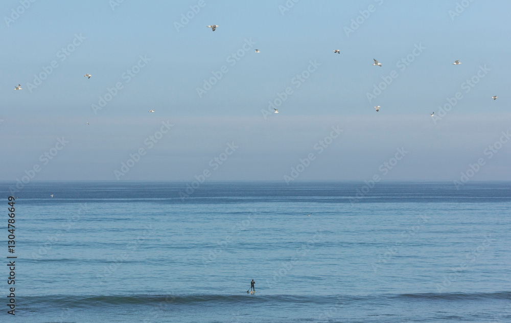 Fototapeta premium Stand up Paddle, in a cinematic setting