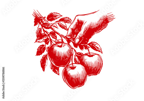 Apple Hand Drawn Sketch Illustration Vector Isolated
