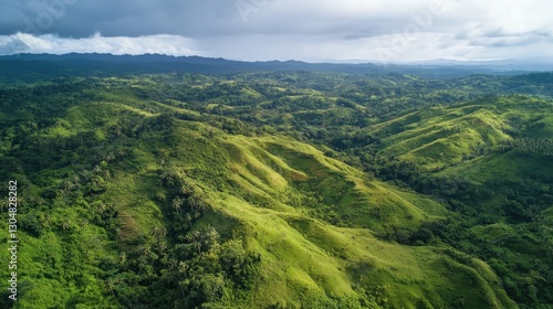 A devastated landscape showing the effects of large-scale forest cutting, highlighting deforestation, environmental destruction, and habitat loss.  
