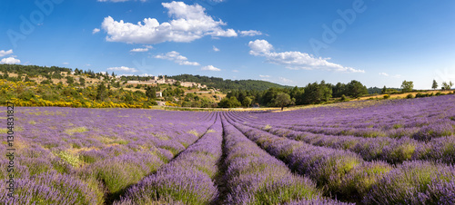 Fotografía Provence hilltop village of Aurel with lavender fields