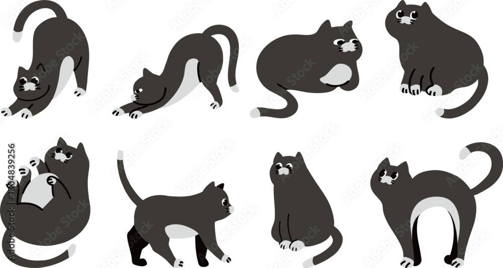 Obraz premium cat illustration_black cat