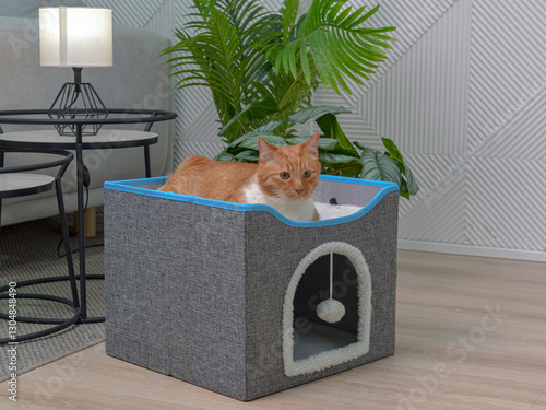 Рыжий кот лежит наверху домика для животных. Фото в интерьере