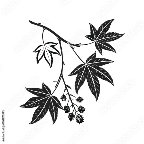 Set of Plant Pictograms, Liquidambar Styraciflua Tree Leaves vector art drawing