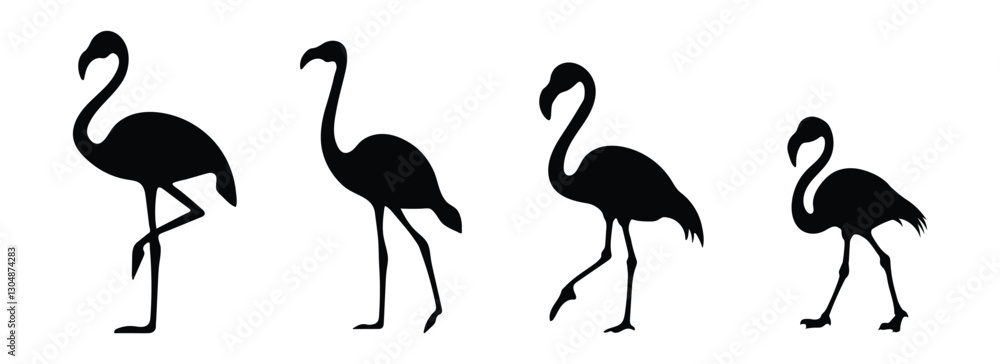 Obraz premium Flamingo on white background. Collection of Flamingo silhouettes in various forms. Side view and full body for design. Vector illustration.