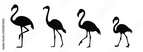 Flamingo on white background. Collection of Flamingo silhouettes in various forms. Side view and full body for design. Vector illustration.