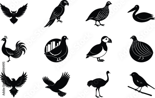 Diverse Avian Species Black and White Bird Icons Set