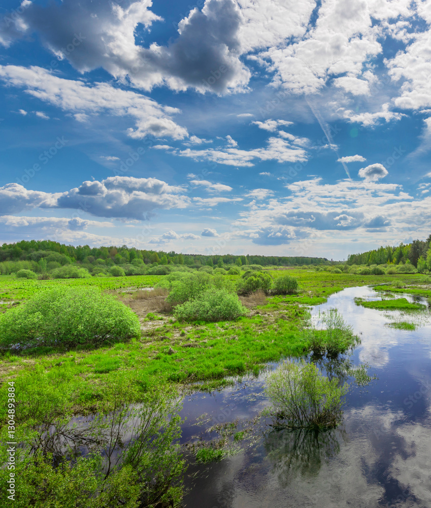 Fototapeta premium Field with a river running through it and a few trees