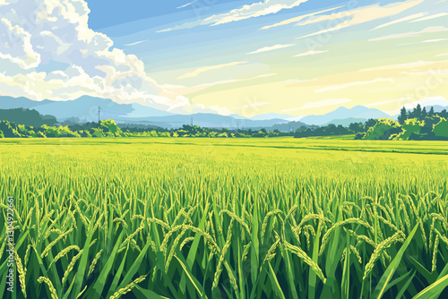 Green Rice field and sky landscape background, Flat style cartoon vector illustration