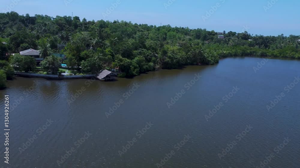 lake in the jungle view from above lake in the jungle view from above
