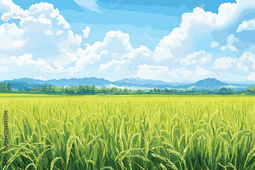 Green Rice field and sky landscape background, Flat style cartoon vector illustration