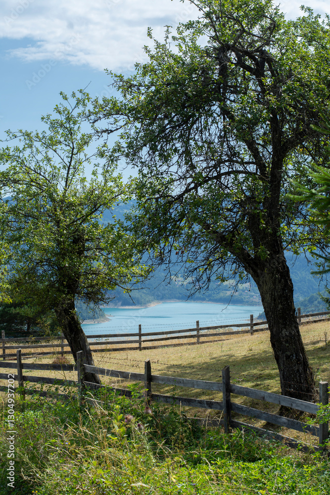 Clear mountain lake through plum tree orchard Clear mountain lake through plum tree orchard