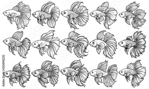 Intricate Betta Fish Fish Coloring Page for Adults, Beautiful Line Art for Stress Relief and Relaxation, Ideal for Adult Coloring Books or Printable Art Therapy, High-Resolution Illustration.