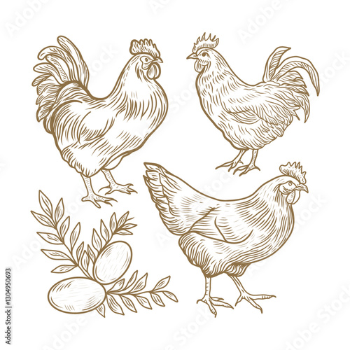 Set of hen and chicken. Vintage sketch illustration of chickens, roosters, and eggs. For farm products, packaging, restaurant menus, culinary 