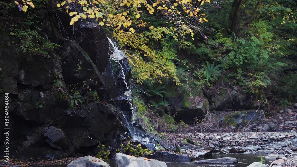 Autumn mountain forest stream in Northeast China Autumn mountain forest stream in Northeast China