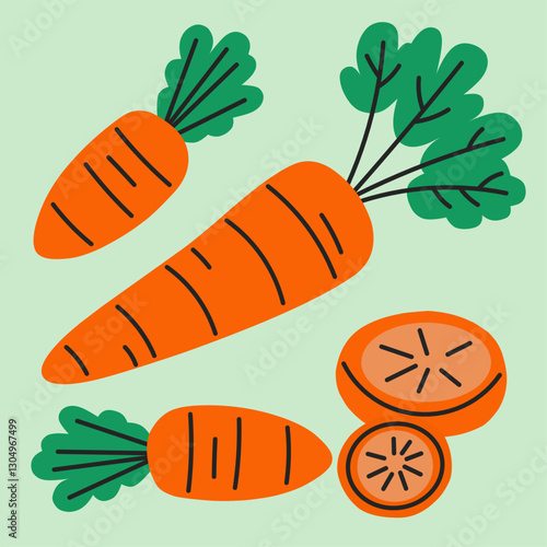 Set of fresh carrots vegetable illustrations in whole Daucus carota sativa and sliced rounds. Perfect for a vibrant and healthy food designs. 