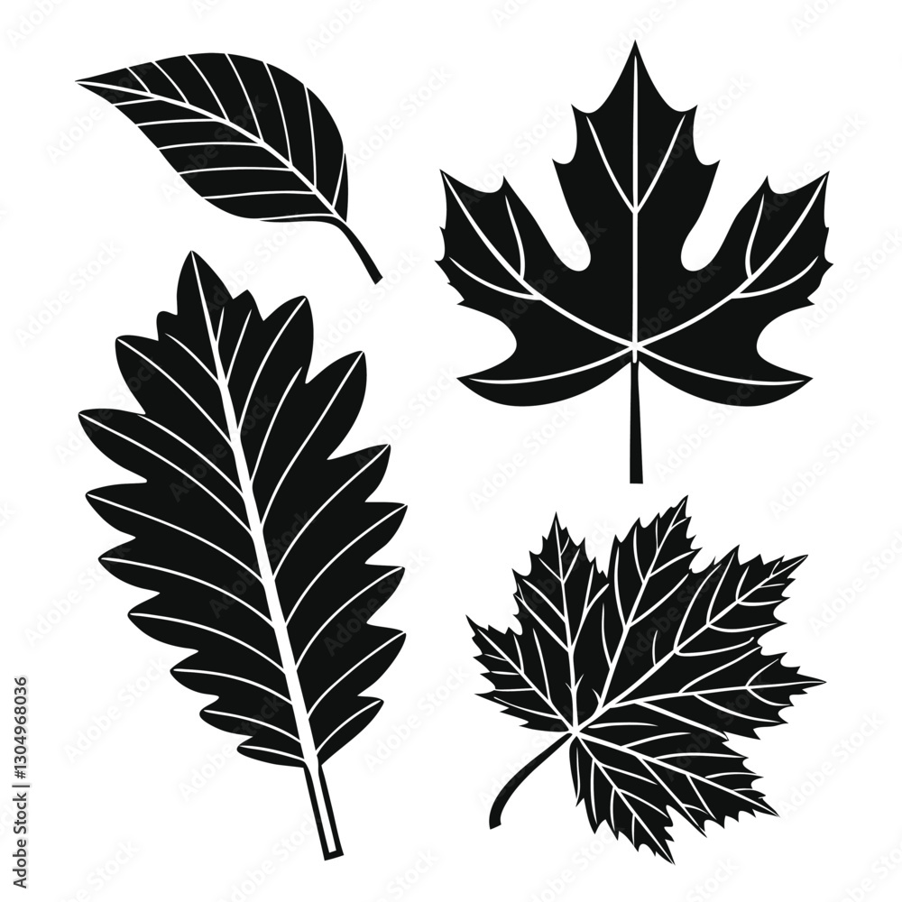 Obraz premium set of autumn leaves