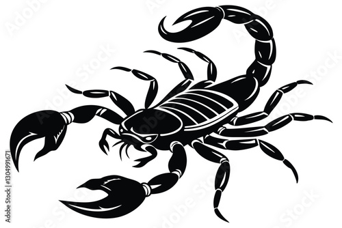 scorpion species Palamedes fulvenes vector