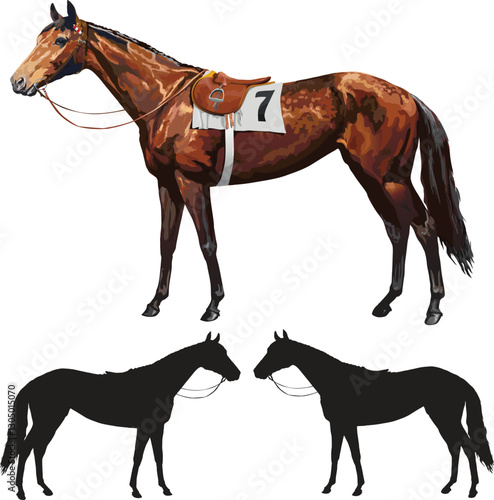 Racing arab horse illustration.eps