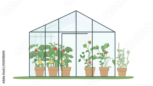 Illustration of a small greenhouse with a gable roof and transparent walls.  Inside, several potted plants are arranged in rows. The plants depict various growth stages and appear healthy,