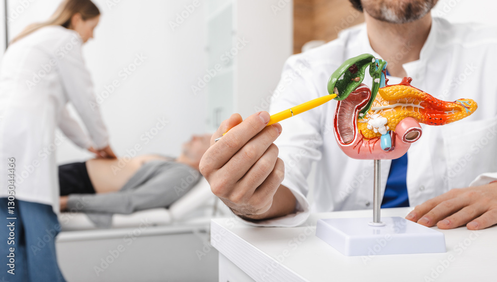 Doctor showing gallbladder on anatomical model of pancreas with gallbladder for male patient during abdominal examination in medical office. Treatment of gallbladder diseases and cholelithiasis Doctor showing gallbladder on anatomical model of pancreas with gallbladder for male patient during abdominal examination in medical office. Treatment of gallbladder diseases and cholelithiasis