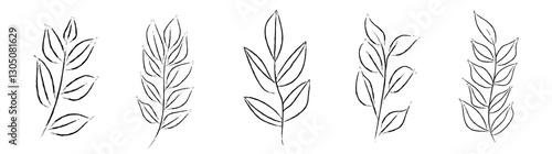 Set of doodle sketch twigs, plants. Different hand drawn vector floral elements. Illustration for decoration, wedding invitations, poster, website and border isolated on white background