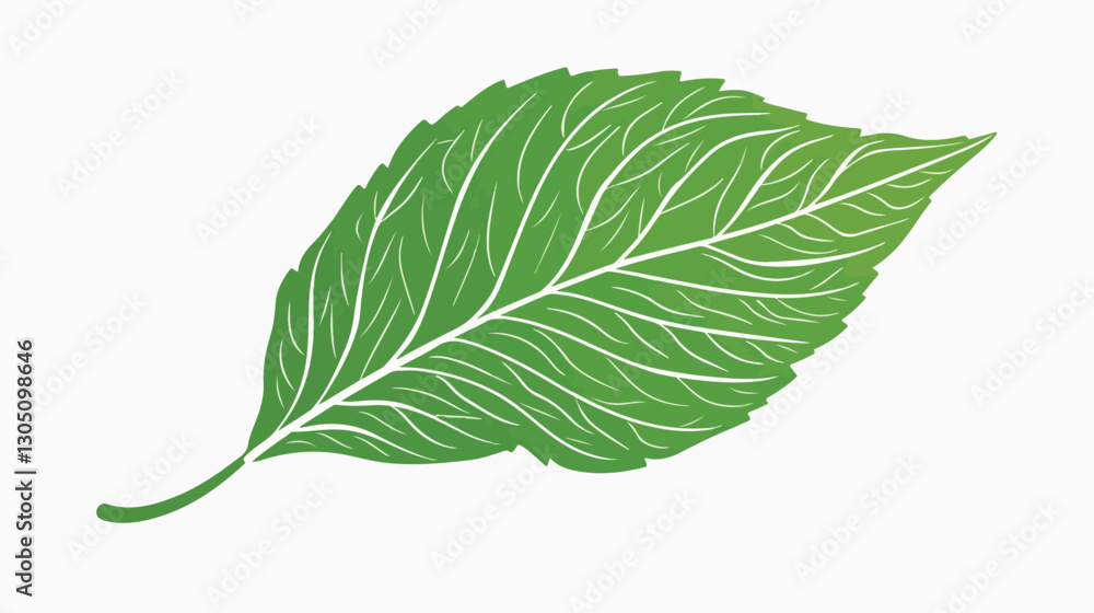 Fototapeta premium Intricate Vector Silhouette Design of Green Leaf with Detailed Ramifications
