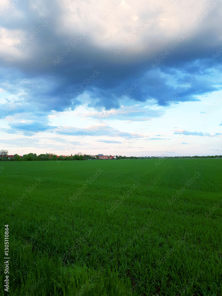green field and clouds green field and clouds