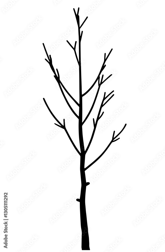 Fototapeta premium Silhouette of a Tree without Leaves – Straight Trunk with Branches Extending into Smaller Twigs, Symbolizing Nature’s Resilience, Change, and the Cycles of Life
