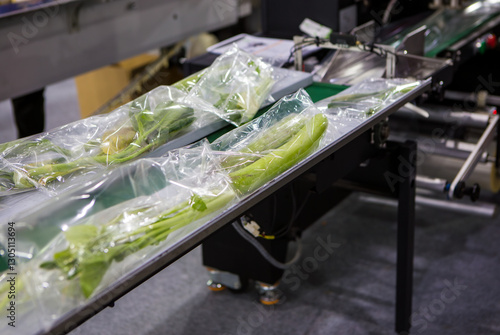 Automatic food flow packaging machine.