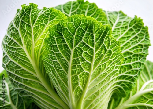 Close-up Fresh Chinese Cabbage on White Background - Vibrant Green Vegetable Stock Photo