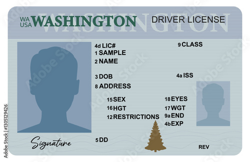 Washington driver license isolated on white background. Person driver license