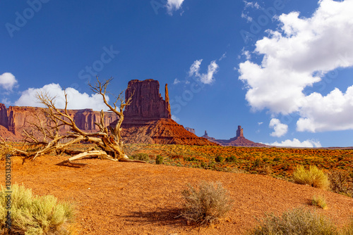 Monument Valley Navajo Tribal Park