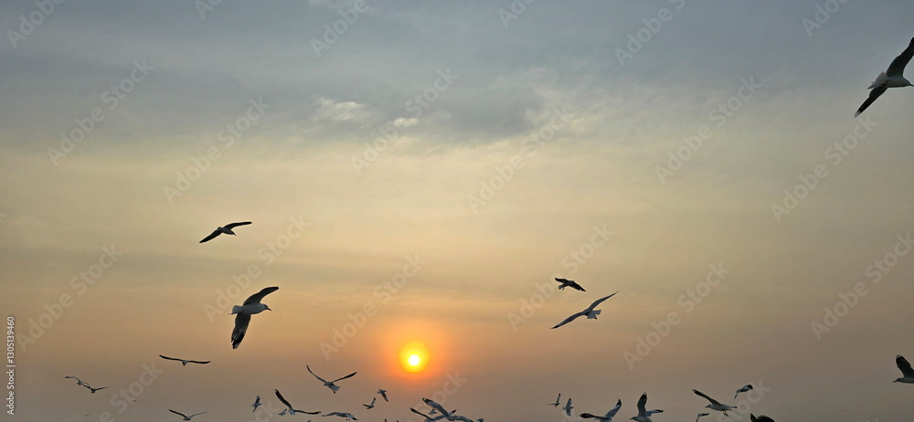 Fototapeta premium Sunset and Silhouette of Seagulls in Flight. Seagulls fly past setting sun at Bang Pu Recreation Center. Flying birds with twilight light in evening, Blurred abstract background of seagulls flying 