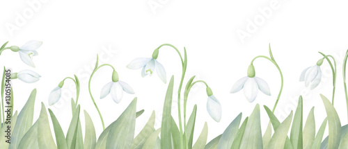 Wallpaper Mural Snowdrops in green grass seamless border. Watercolor horizontal composition with first flowers isolated on white. Hand drawn floral arrangement for print and design Torontodigital.ca