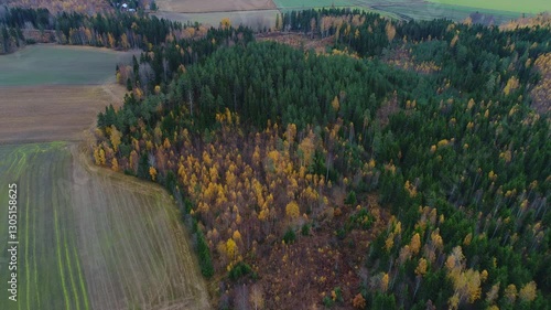 Over autumn Finland (shot from a quadcopter) 