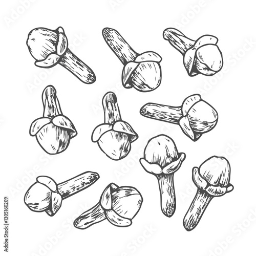 Detailed cloves spice sketch illustration, showcasing dried buds in vintage style. Perfect for culinary designs, food packaging, botanical art, and aromatic spice-themed projects.