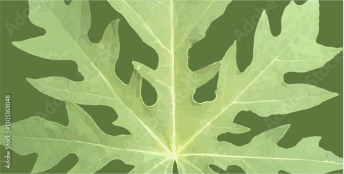 green papaya leaf vector image, isolated in matching color as background design and inspiration for fine art and applied art