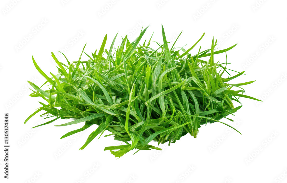 Captivating green grass square on white isolated on transparent background png Captivating green grass square on white isolated on transparent background png