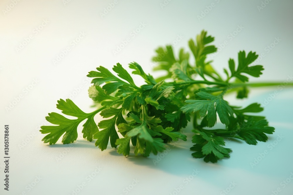 Obraz premium A Close up of a Bunch of Parsley on a White Table - Generative AI