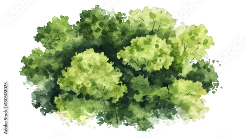 Forest canopy rendered in vibrant watercolor, aerial view capturing verdant green landscape against transparent backdrop