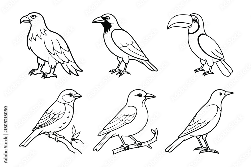 Fototapeta premium Set of bird vector illustration
