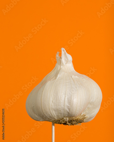 Garlic on orange