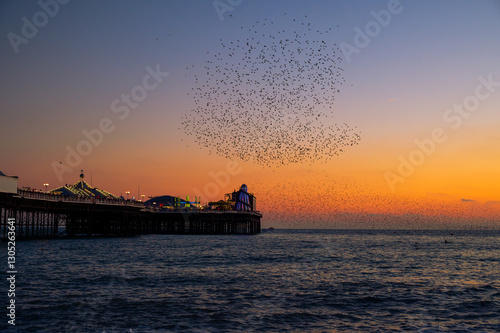 The mesmerising starling murmuration on the Brighton coast. 