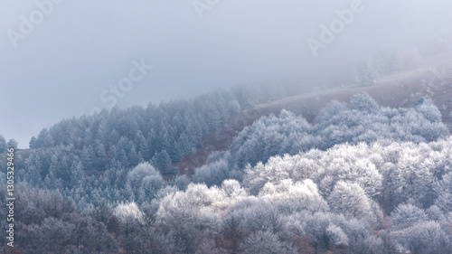Wallpaper Mural snow covered trees Torontodigital.ca