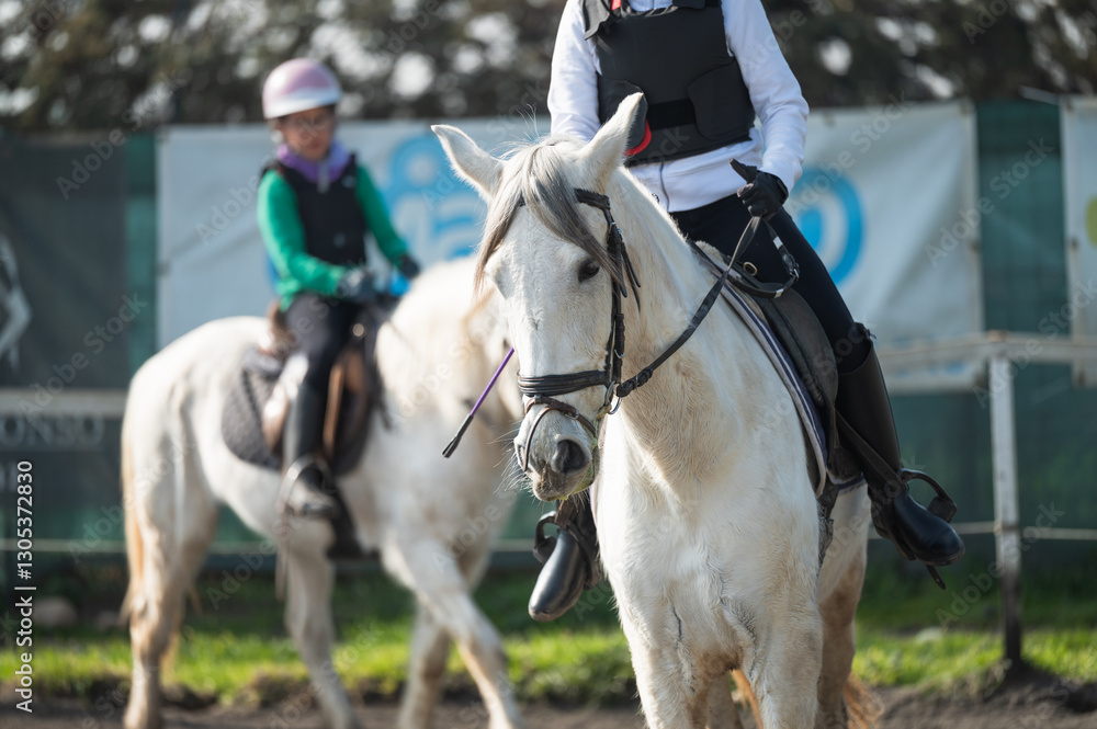 Young horse riders training with their horses in a riding school paddock Young horse riders training with their horses in a riding school paddock
